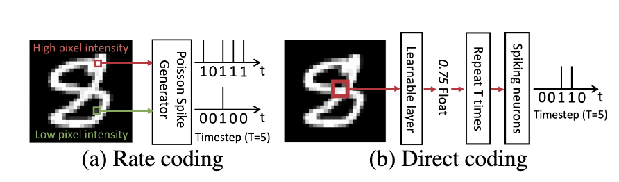 Fig. 1: Rate Coding vs Direct Coding