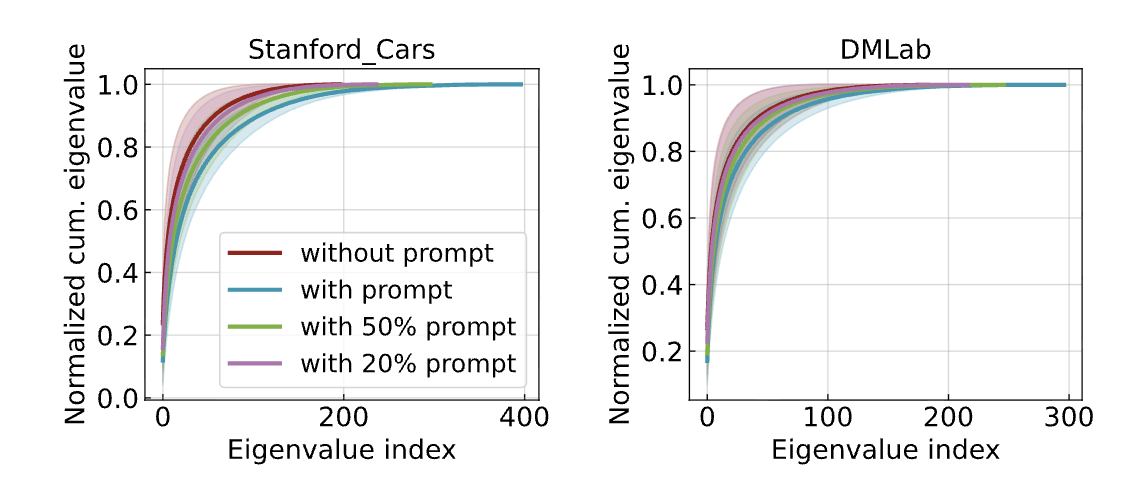 Fig. 1: Visual Prompts